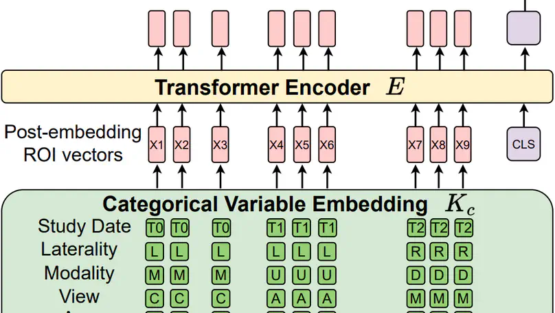 Leveraging Transformers to Improve Breast Cancer Classification and Risk Assessment with Multi-modal and Longitudinal Data